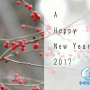 2017a-happy-new-year